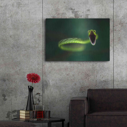 Luxe Metal Art 'Vine Snake' by Thomas Haney, Metal Wall Art,36x24