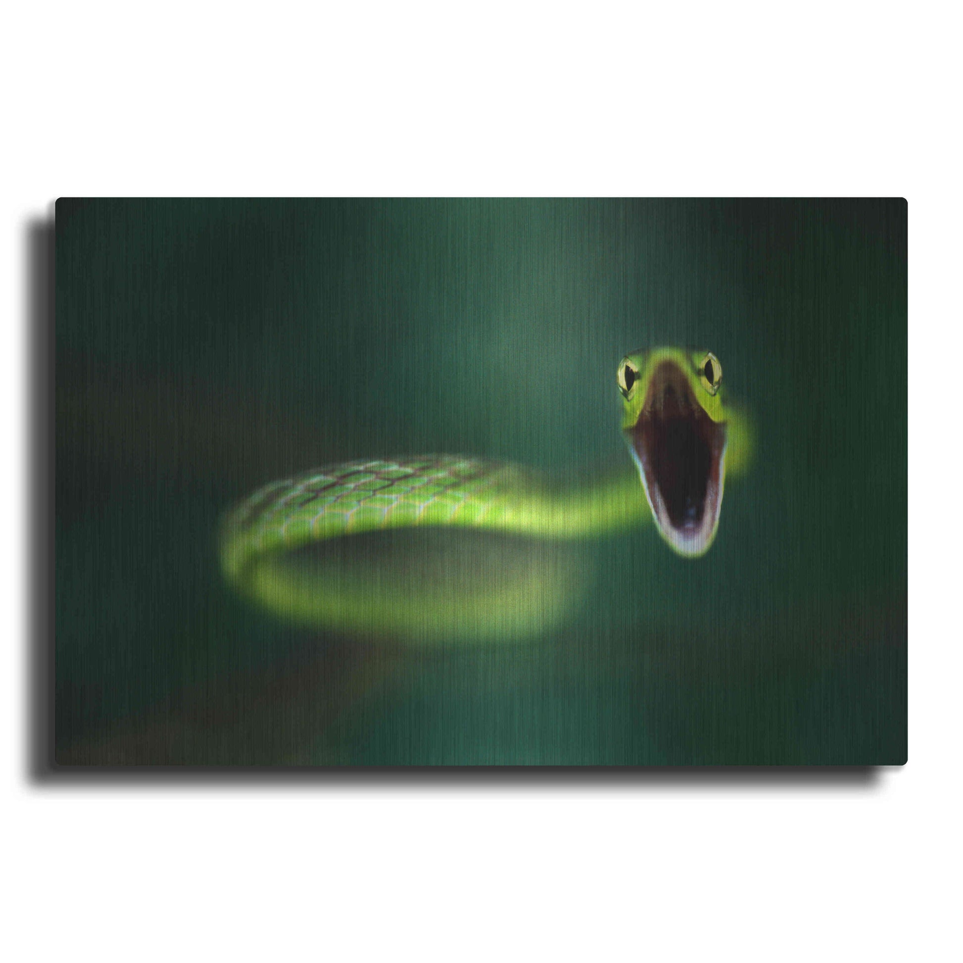 Luxe Metal Art 'Vine Snake' by Thomas Haney, Metal Wall Art