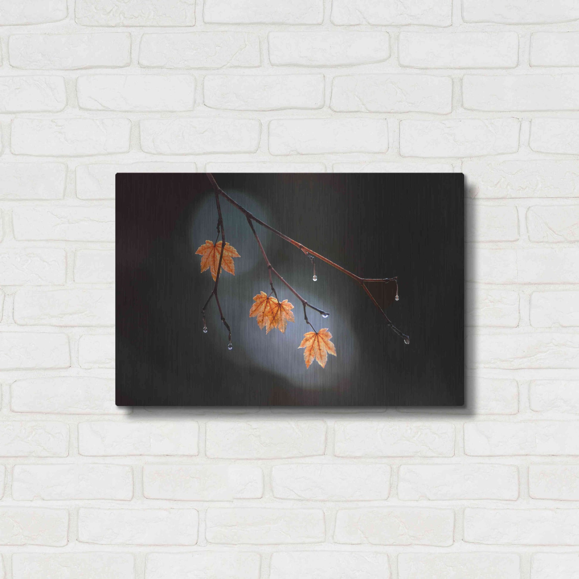 Luxe Metal Art 'Wet Fall' by Thomas Haney, Metal Wall Art,24x16