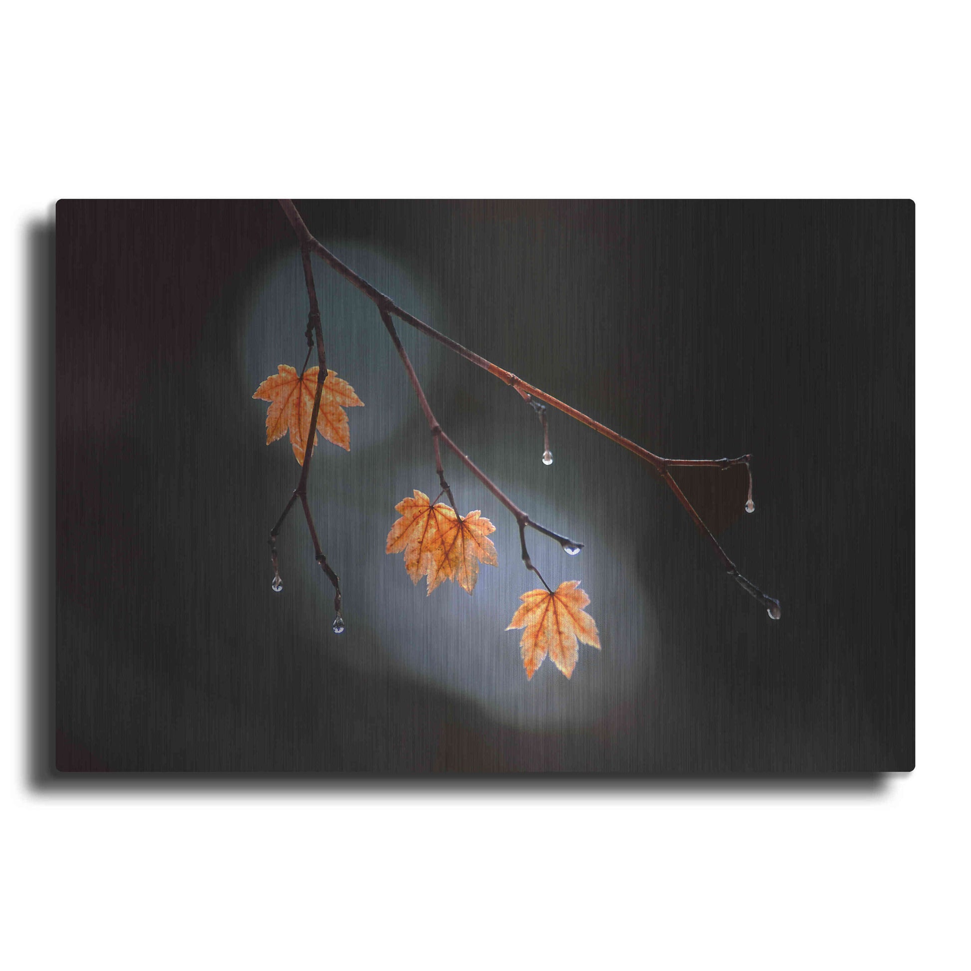 Luxe Metal Art 'Wet Fall' by Thomas Haney, Metal Wall Art