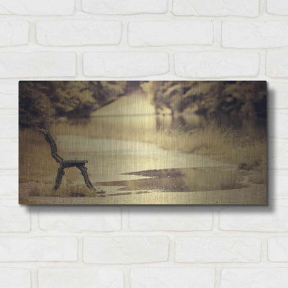 Luxe Metal Art 'After the Rain' by Sebastien Lory, Metal Wall Art,24x12