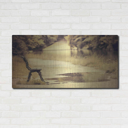 Luxe Metal Art 'After the Rain' by Sebastien Lory, Metal Wall Art,48x24