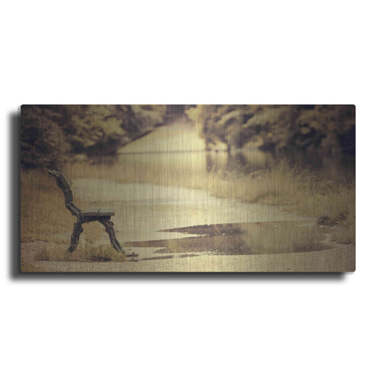 Luxe Metal Art 'After the Rain' by Sebastien Lory, Metal Wall Art