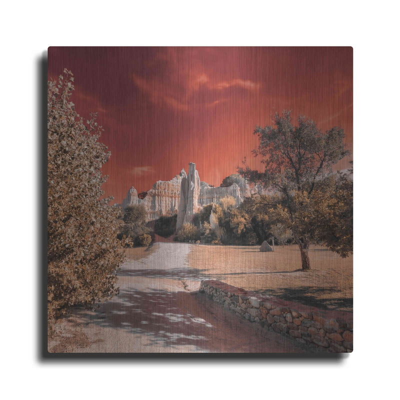 'IRadiation' by Sebastien Lory – Metal Wall Art