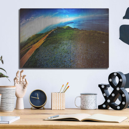 Luxe Metal Art 'Cap Bear' by Sebastien Lory, Metal Wall Art,16x12