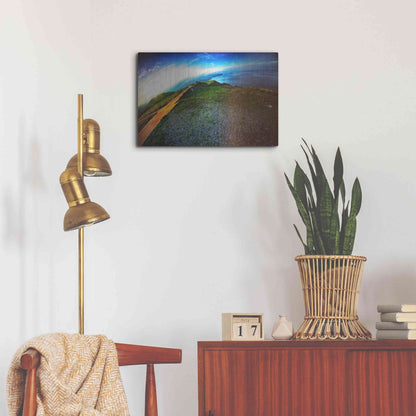 Luxe Metal Art 'Cap Bear' by Sebastien Lory, Metal Wall Art,24x16