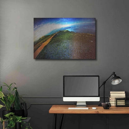 Luxe Metal Art 'Cap Bear' by Sebastien Lory, Metal Wall Art,36x24