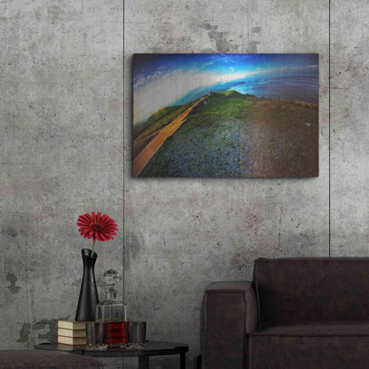 Luxe Metal Art 'Cap Bear' by Sebastien Lory, Metal Wall Art,36x24