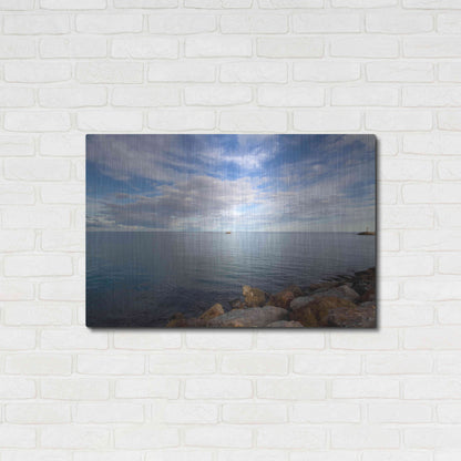 Luxe Metal Art 'St. Cyp' by Sebastien Lory, Metal Wall Art,36x24