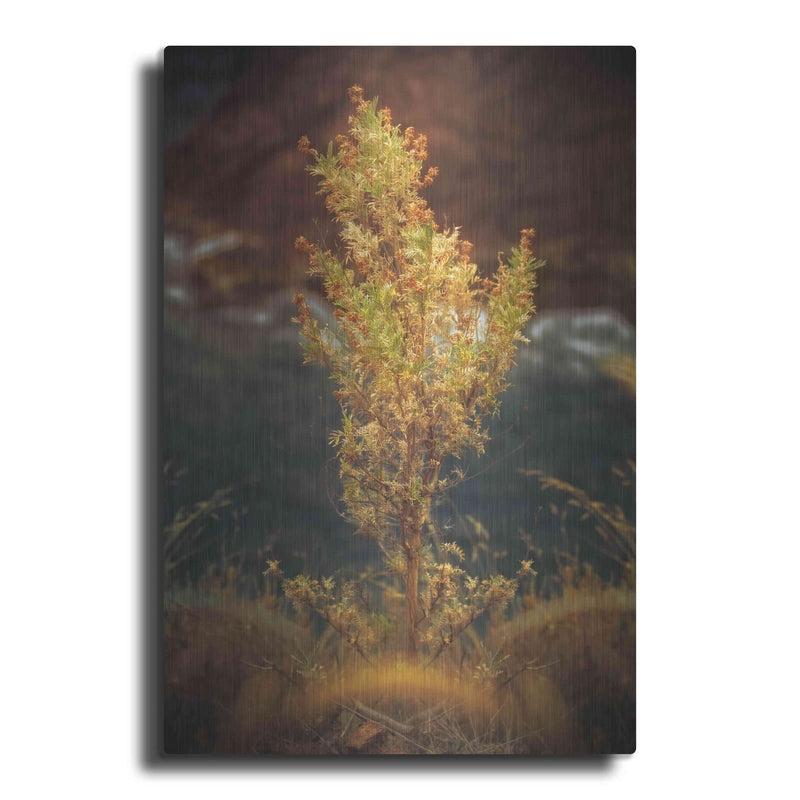 'View Point' by Sebastien Lory – Metal Wall Art