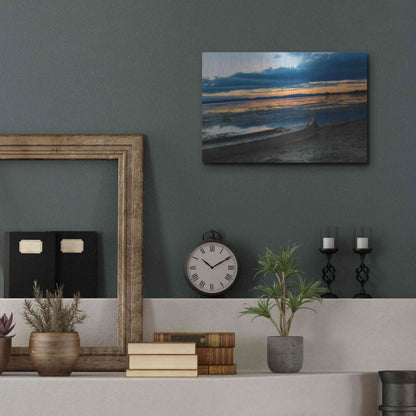 Luxe Metal Art 'Complementary colors in Nature' by Sebastien Lory, Metal Wall Art,16x12