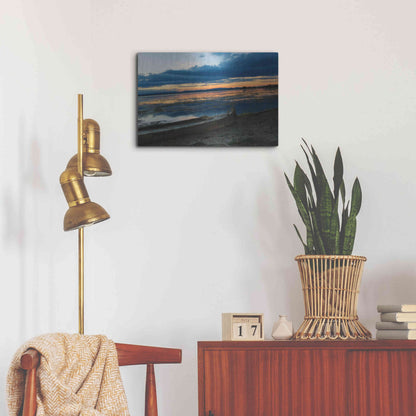 Luxe Metal Art 'Complementary colors in Nature' by Sebastien Lory, Metal Wall Art,24x16