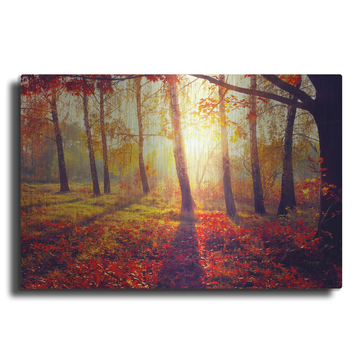 'Golden Afternoon' – Metal Wall Art