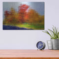 'Colors on the River' by David Manlove – Metal Wall Art, 16x12 room view