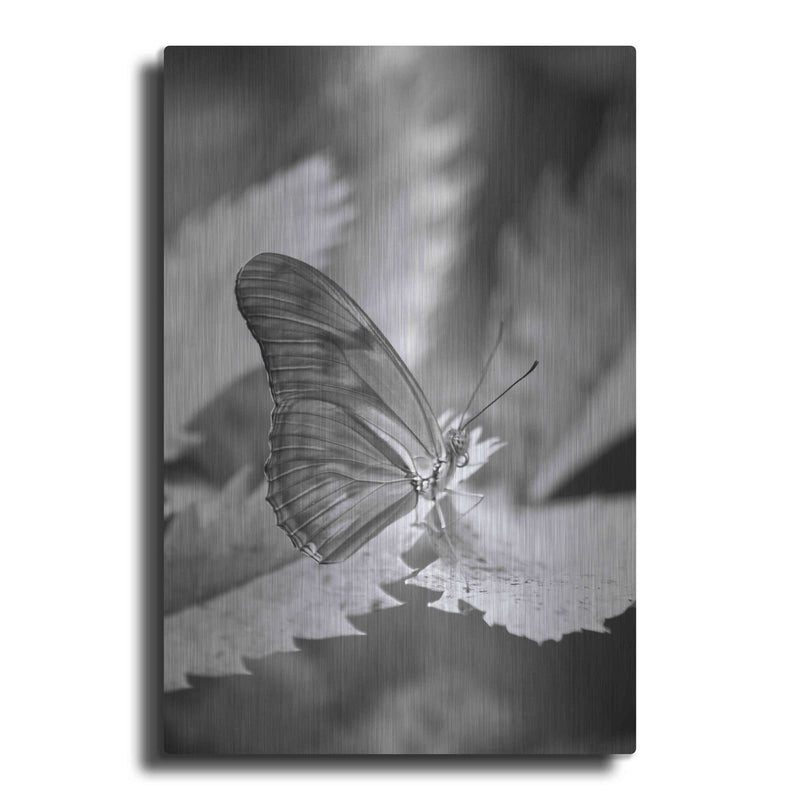 'Still' by Chris Moyer – Metal Wall Art