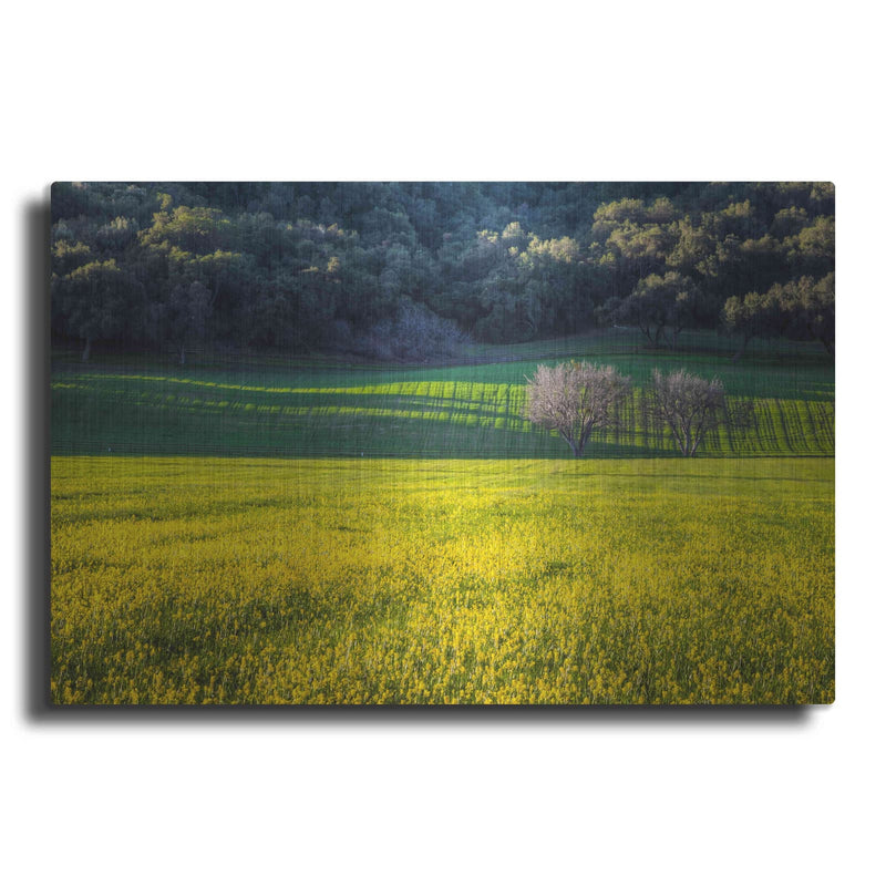 'Together Forever' by Chris Moyer – Metal Wall Art