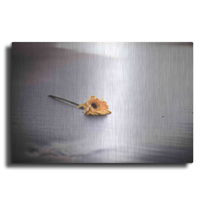 'Even Daisies Have Bad Days' by Chris Moyer – Metal Wall Art