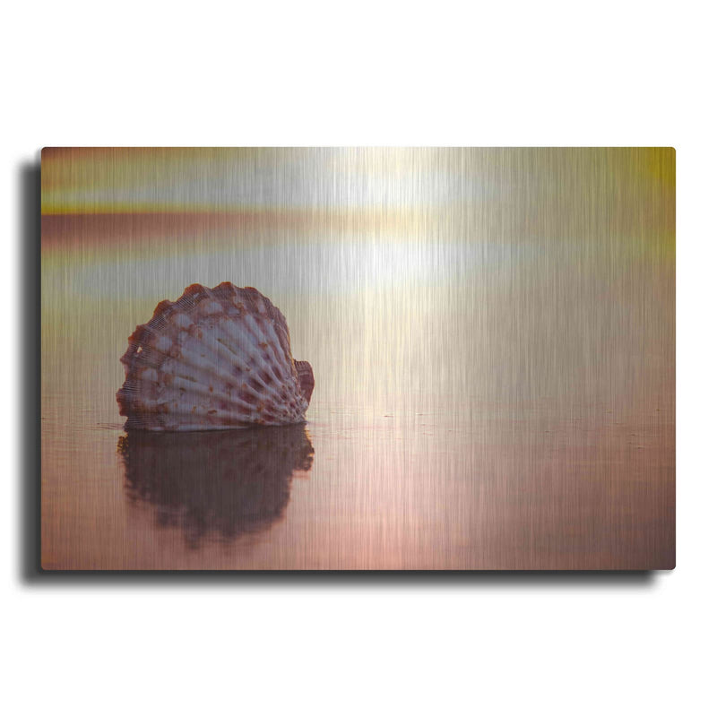 'Battered But Beautiful' by Chris Moyer – Metal Wall Art