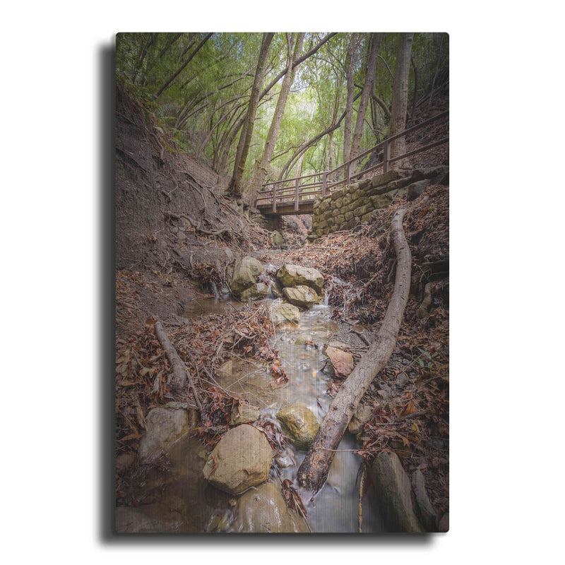 'Lower Nojoqui Falls' by Chris Moyer – Metal Wall Art