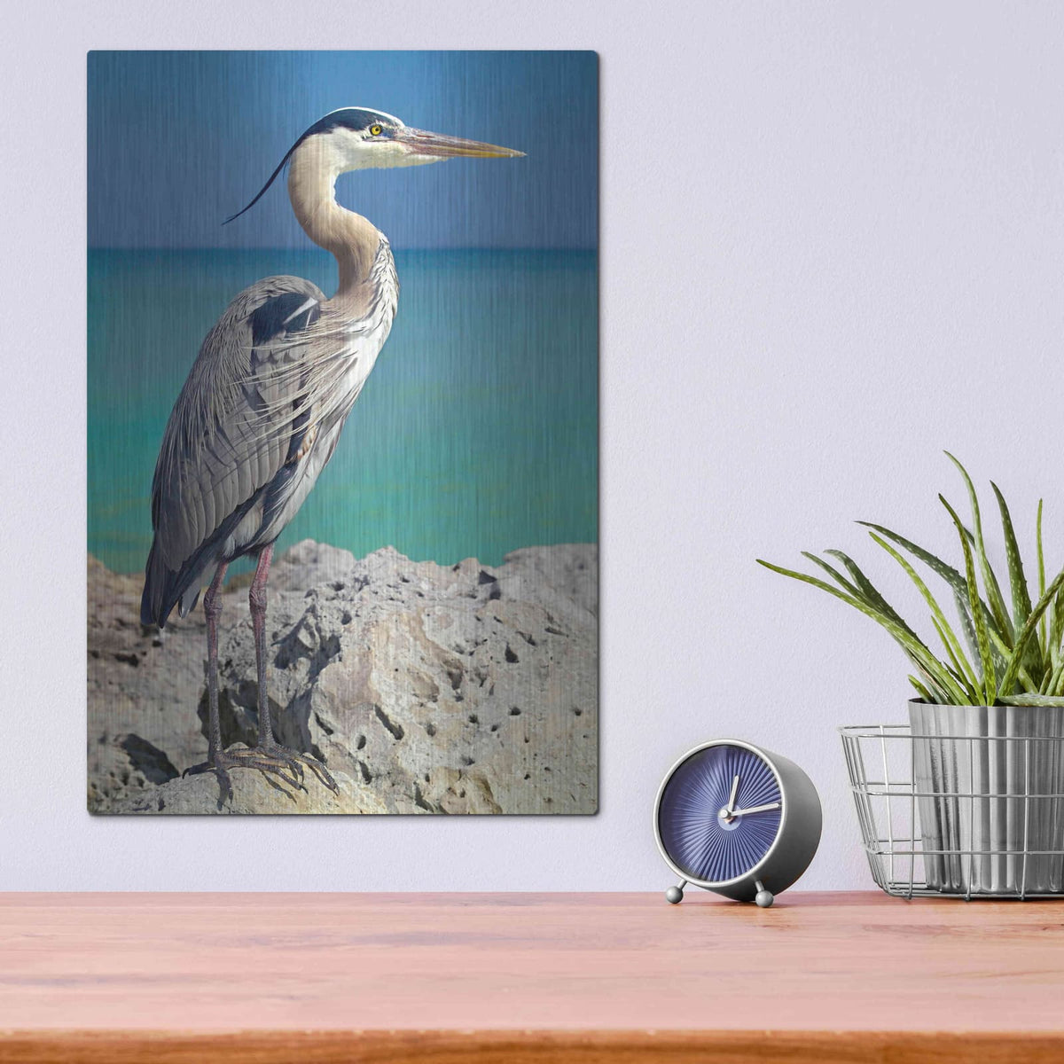 'Blue Heron' by Mike Jones – Metal Wall Art, 12x16 room view
