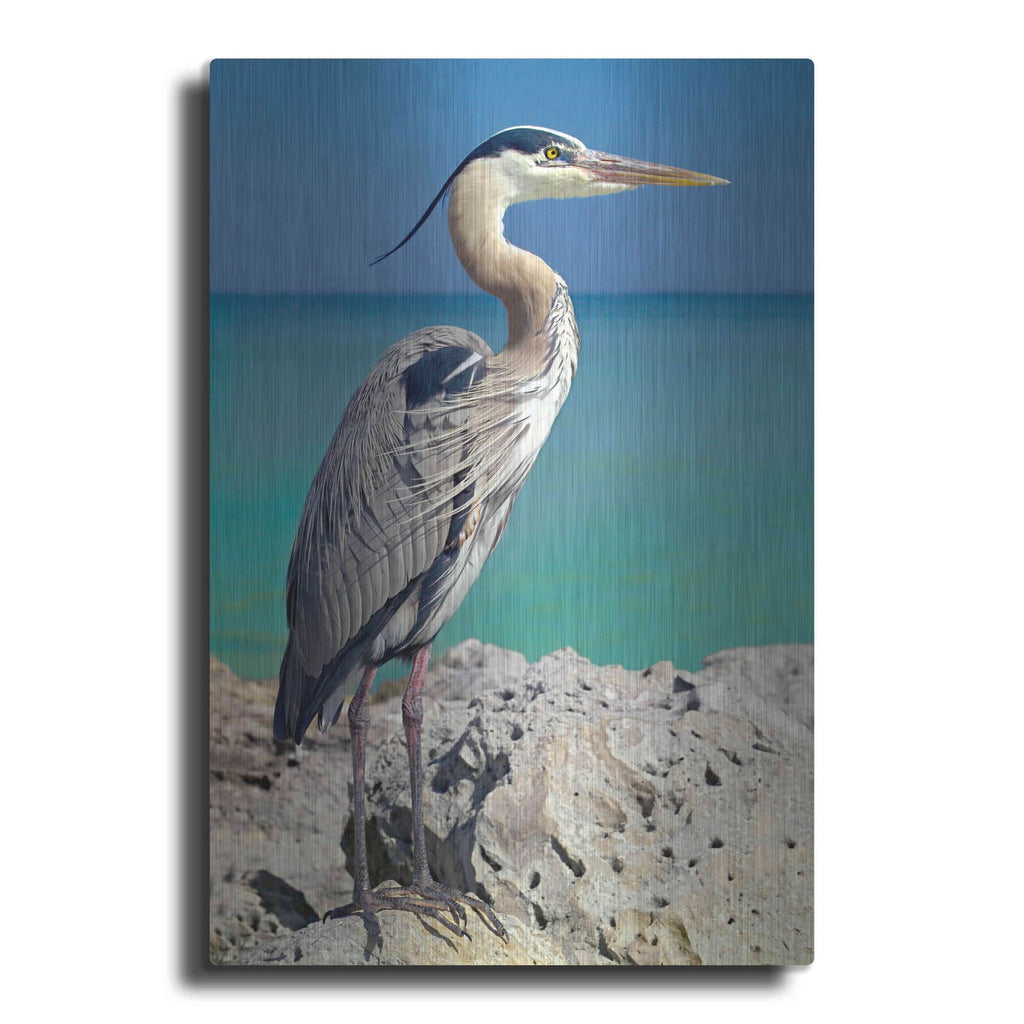 'Blue Heron' by Mike Jones – Metal Wall Art