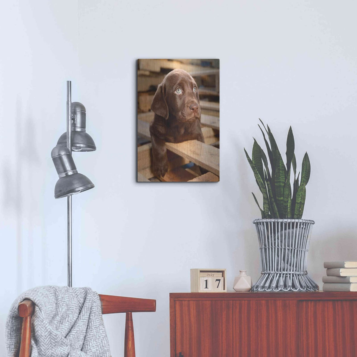 'Bryce Puppy' by Mike Jones – Metal Wall Art, 16x24 room view