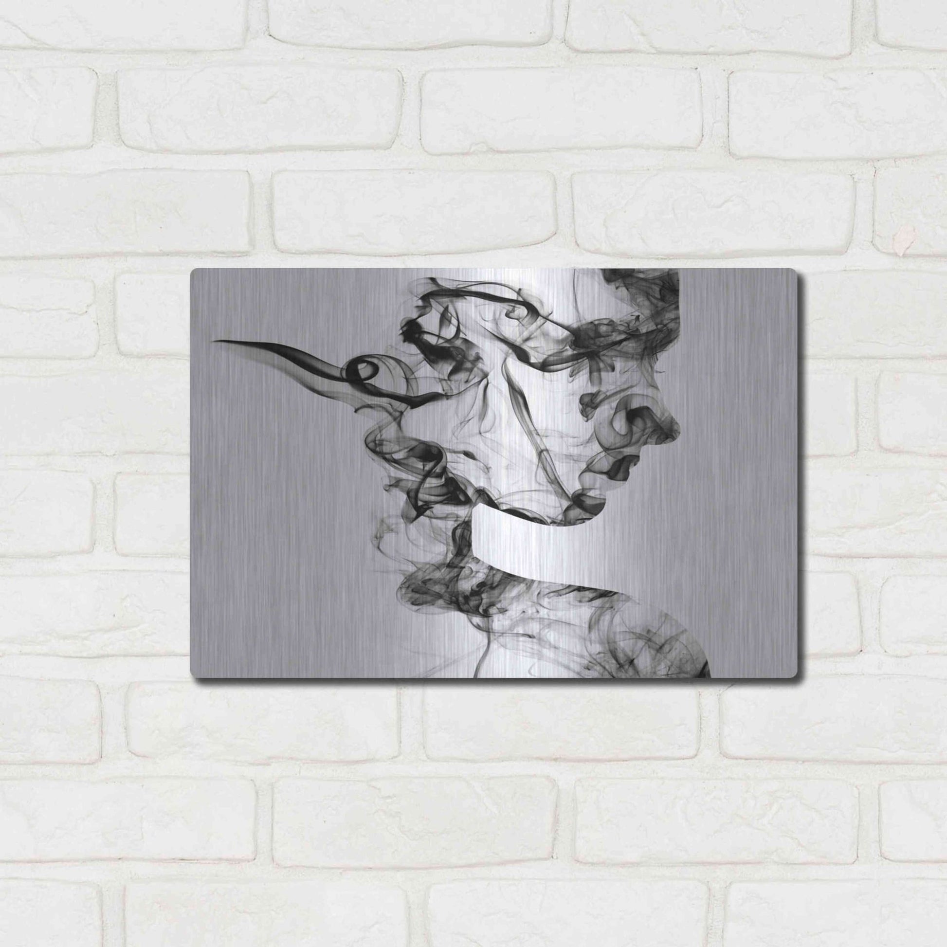 Luxe Metal Art 'Dissolve' Metal Wall Art,16x12