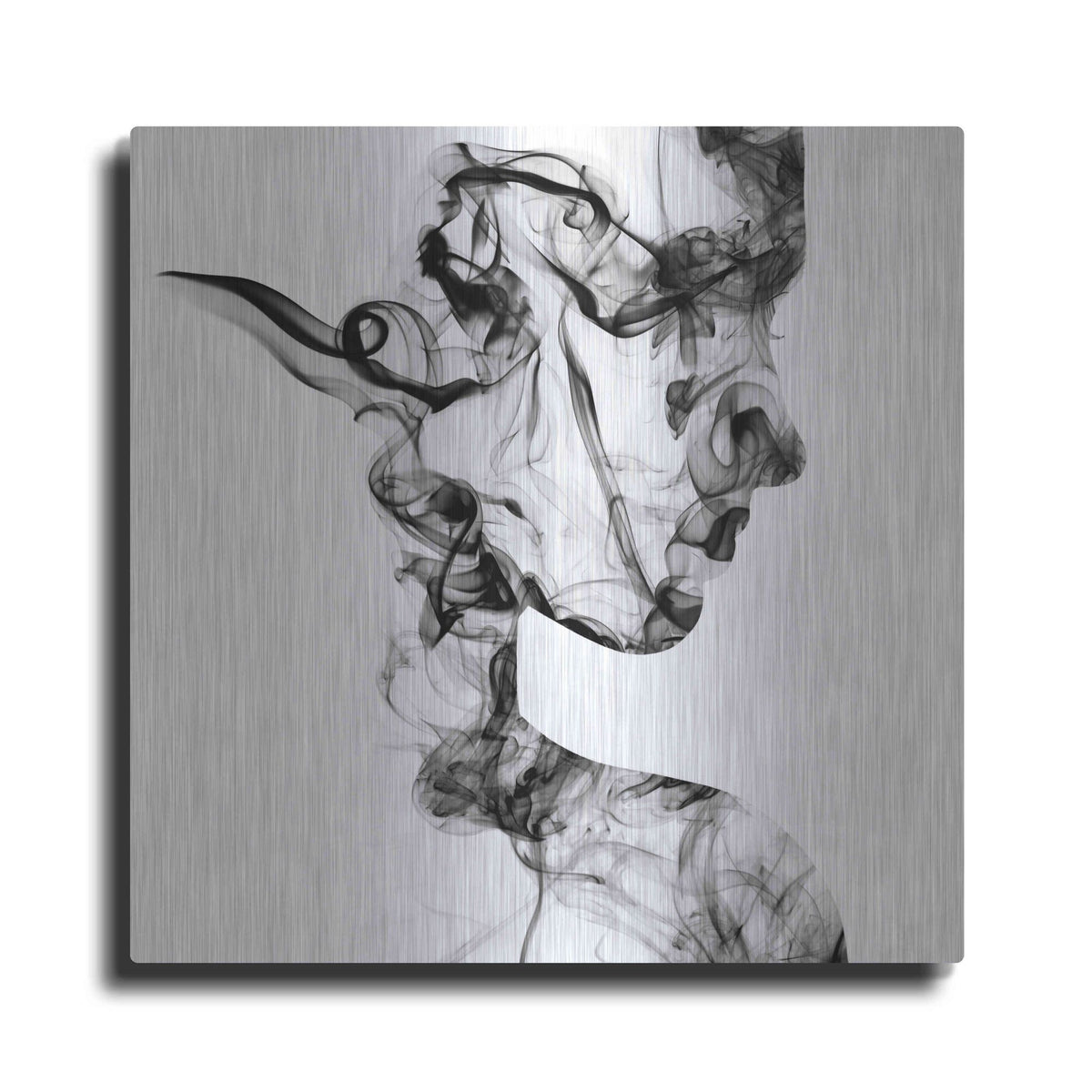 Luxe Metal Art 'Dissolve' Metal Wall Art