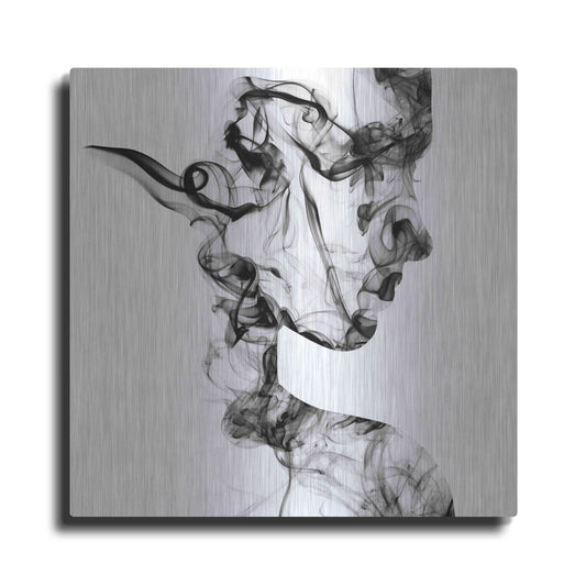 Luxe Metal Art 'Dissolve' Metal Wall Art