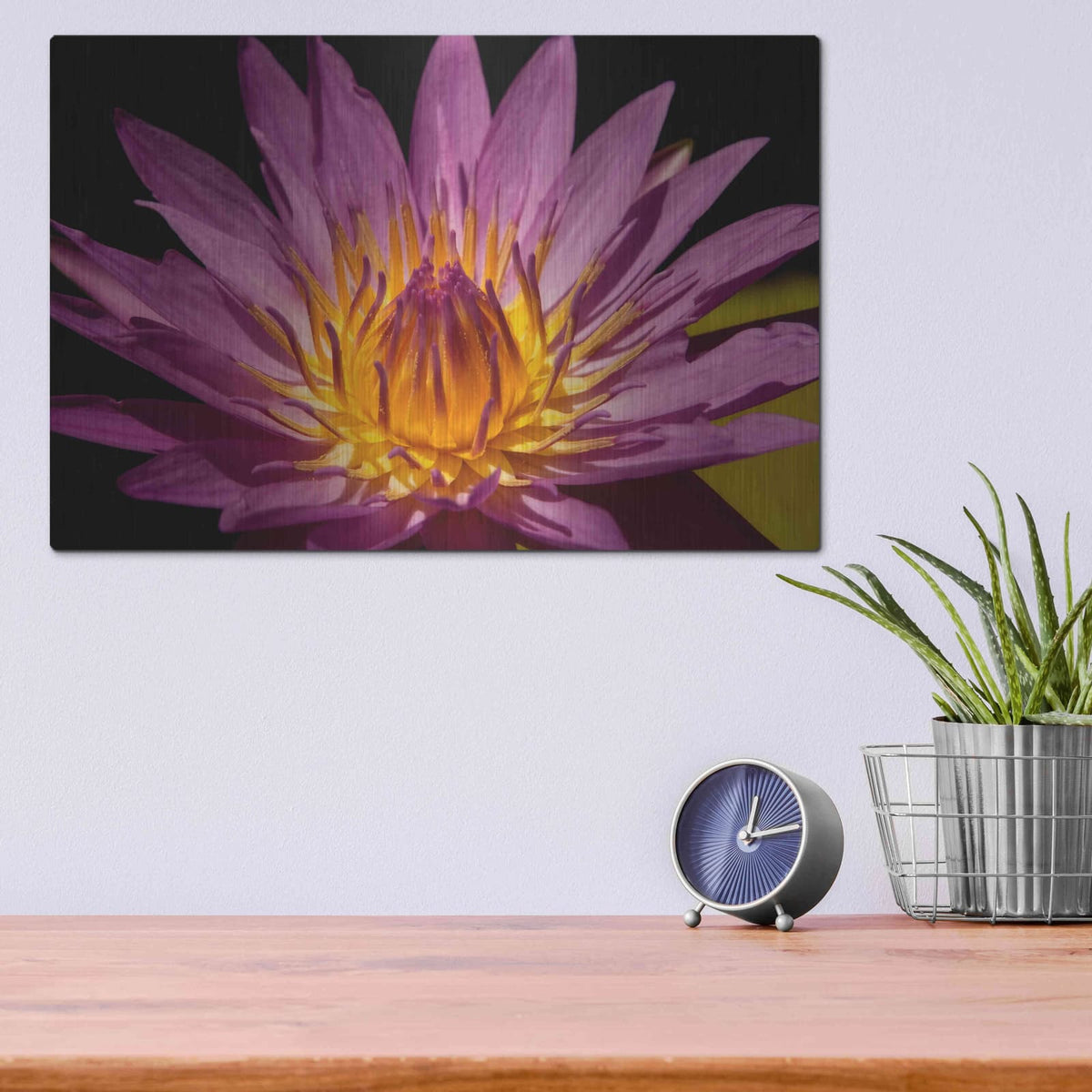 'Fairchild Gardens Lily' by Mike Jones – Metal Wall Art, 16x12 room view