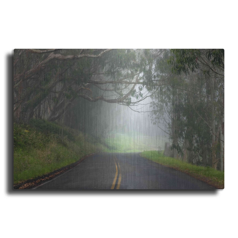 'Foggy Road near Dillon Beach' by Mike Jones – Metal Wall Art