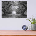 'Oak Alley inf CHECK' by Mike Jones – Metal Wall Art, 16x12 room view