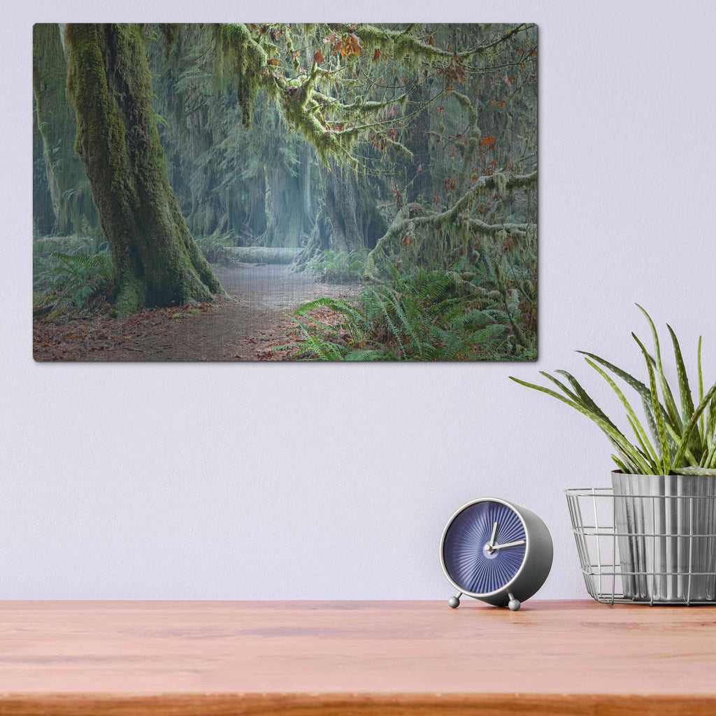 'Olympic NP Trail' by Mike Jones – Metal Wall Art, 16x12 room view