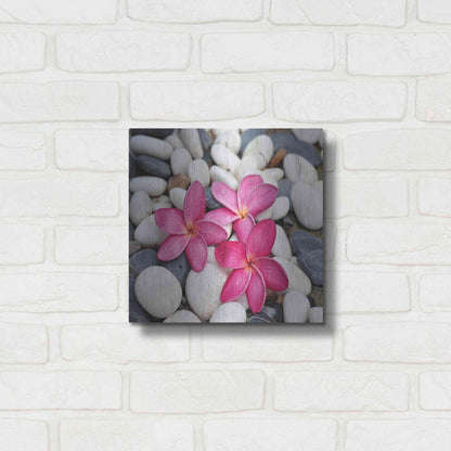 Luxe Metal Art 'Shintai II' Metal Wall Art,12x12