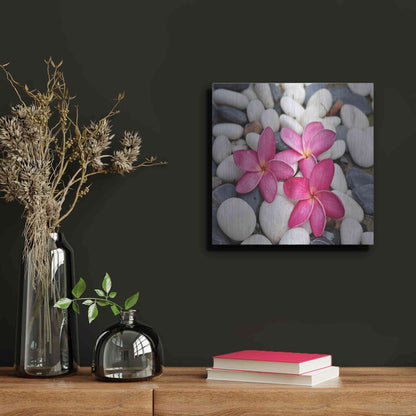 Luxe Metal Art 'Shintai II' Metal Wall Art,12x12