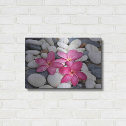 Luxe Metal Art 'Shintai II' Metal Wall Art,24x16