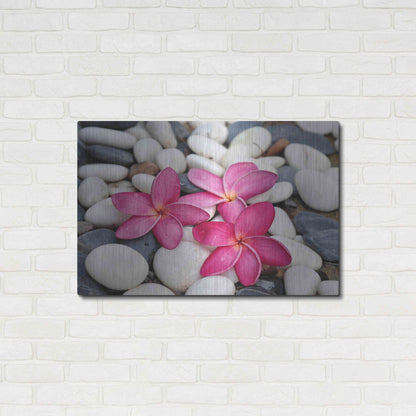 Luxe Metal Art 'Shintai II' Metal Wall Art,36x24