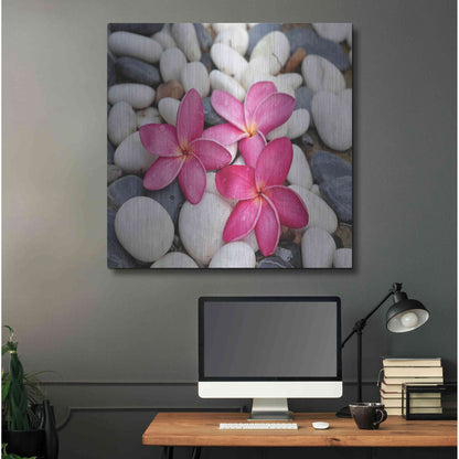 Luxe Metal Art 'Shintai II' Metal Wall Art,36x36