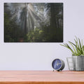 'Redwoods NP Ladybird Johnson Lightbeams' by Mike Jones – Metal Wall Art, 16x12 room view