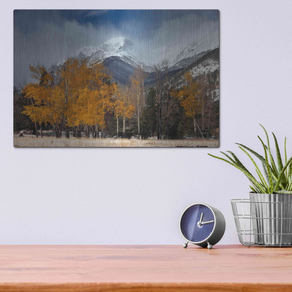 'RMNP Aspens and Storm Clouds' by Mike Jones – Metal Wall Art, 16x12 room view