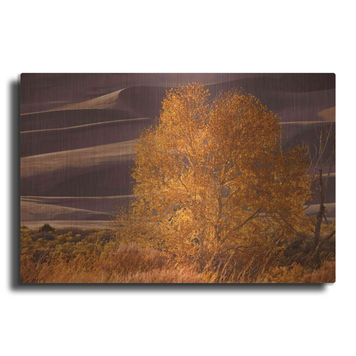 'Sand Dunes NP' by Mike Jones – Metal Wall Art