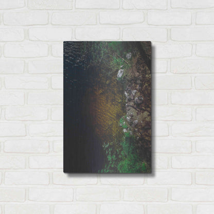 Luxe Metal Art 'Summer Lake' by Nicklas Gustafsson, Metal Wall Art,16x24