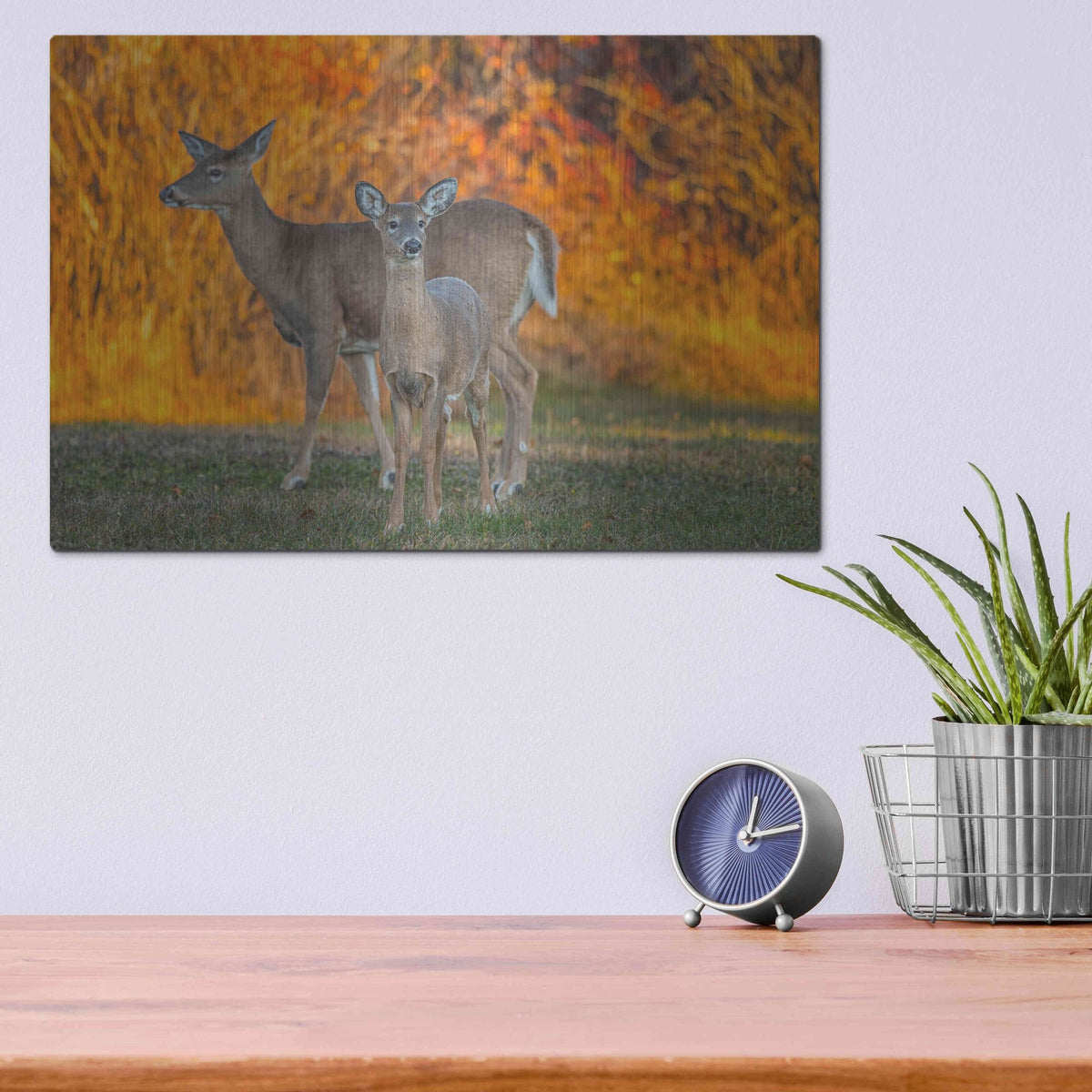 Luxe Metal Art 'Acadia Deer' by Darren White, Metal Wall Art,16x12