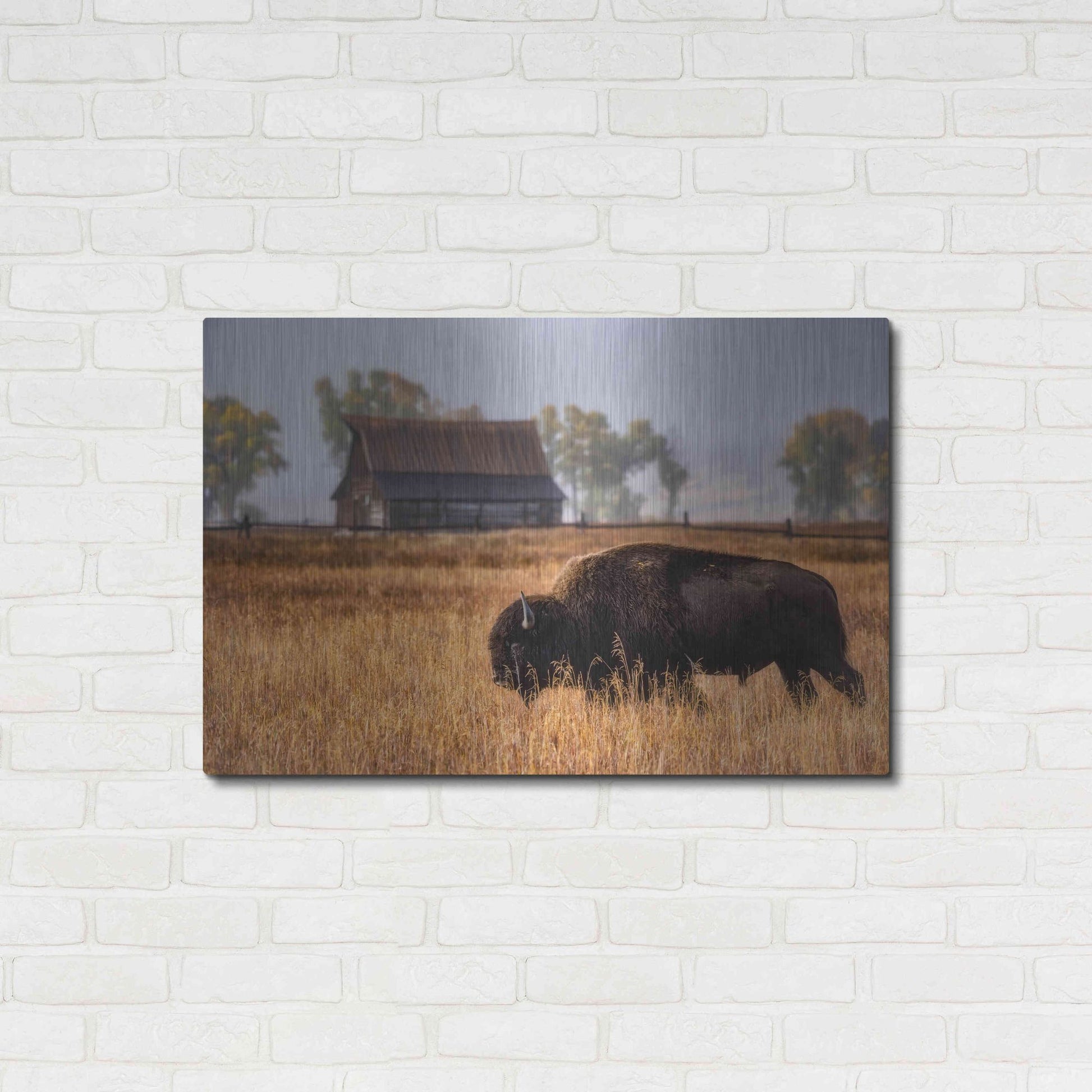 Luxe Metal Art 'Home on the Range - Grand Teton National Park' by Darren White, Metal Wall Art,36x24