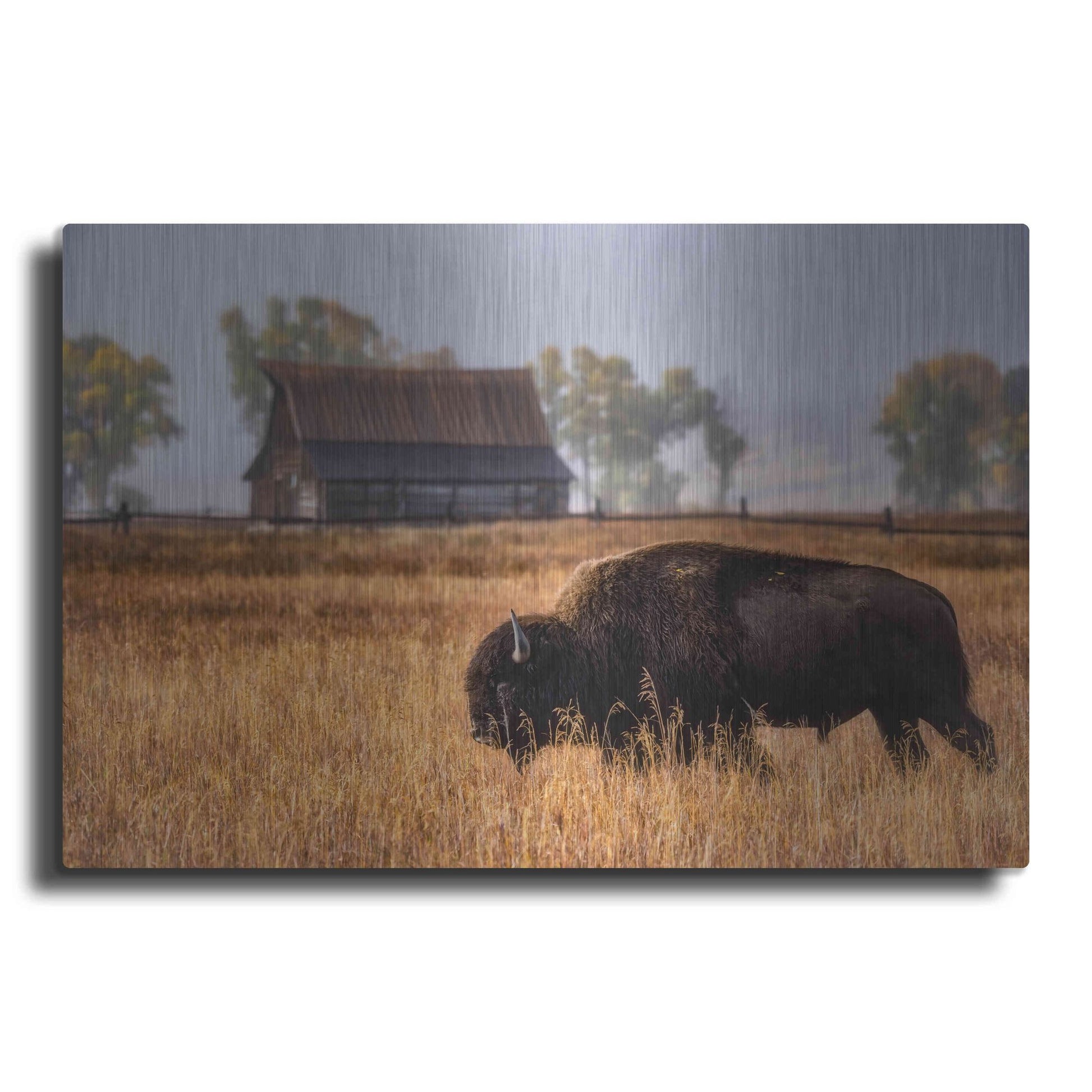 Luxe Metal Art 'Home on the Range - Grand Teton National Park' by Darren White, Metal Wall Art