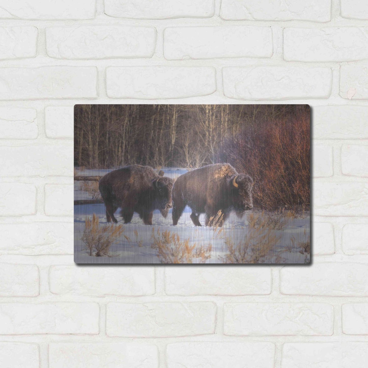 Luxe Metal Art 'Let's Go - Grand Teton National Park' by Darren White, Metal Wall Art,16x12