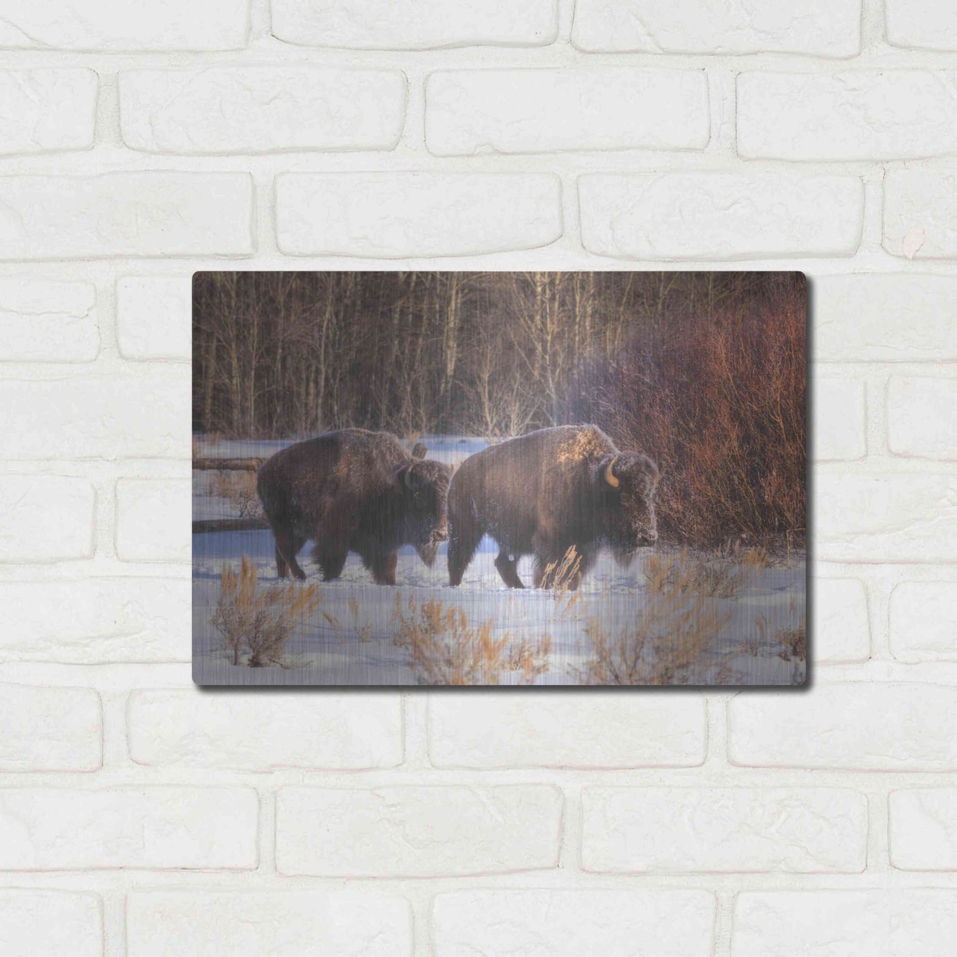 Luxe Metal Art 'Let's Go - Grand Teton National Park' by Darren White, Metal Wall Art,16x12