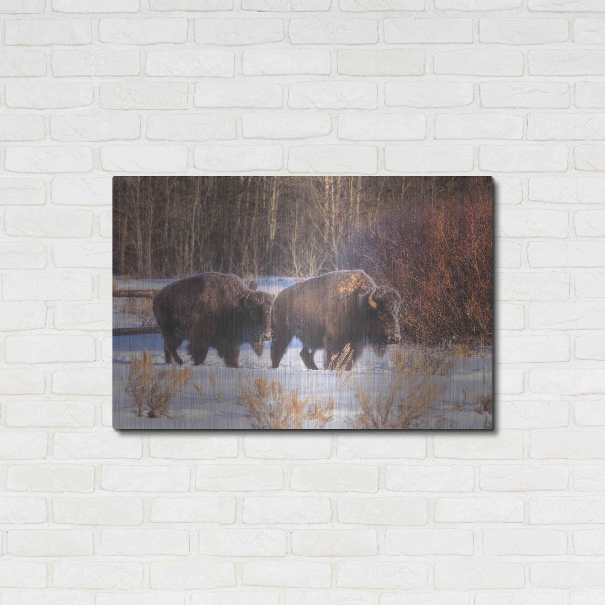 Luxe Metal Art 'Let's Go - Grand Teton National Park' by Darren White, Metal Wall Art,36x24