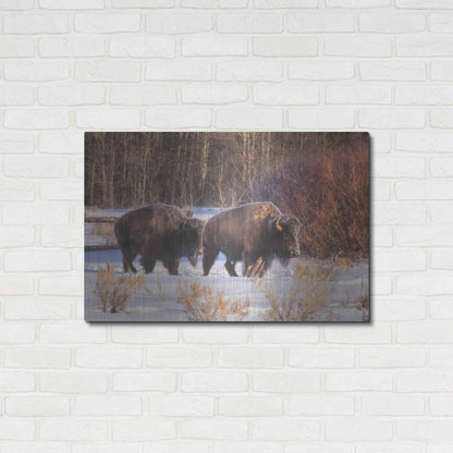 Luxe Metal Art 'Let's Go - Grand Teton National Park' by Darren White, Metal Wall Art,36x24