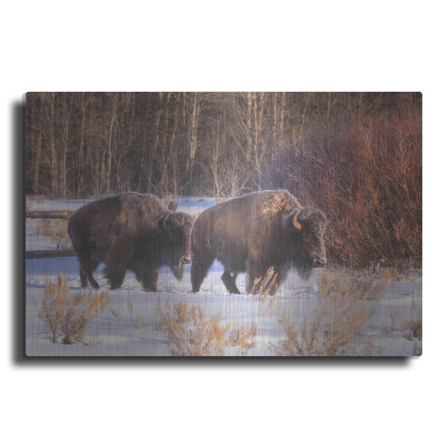 Luxe Metal Art 'Let's Go - Grand Teton National Park' by Darren White, Metal Wall Art